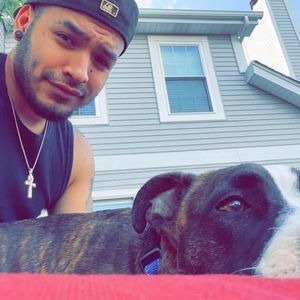 Meet your Posher, Jake